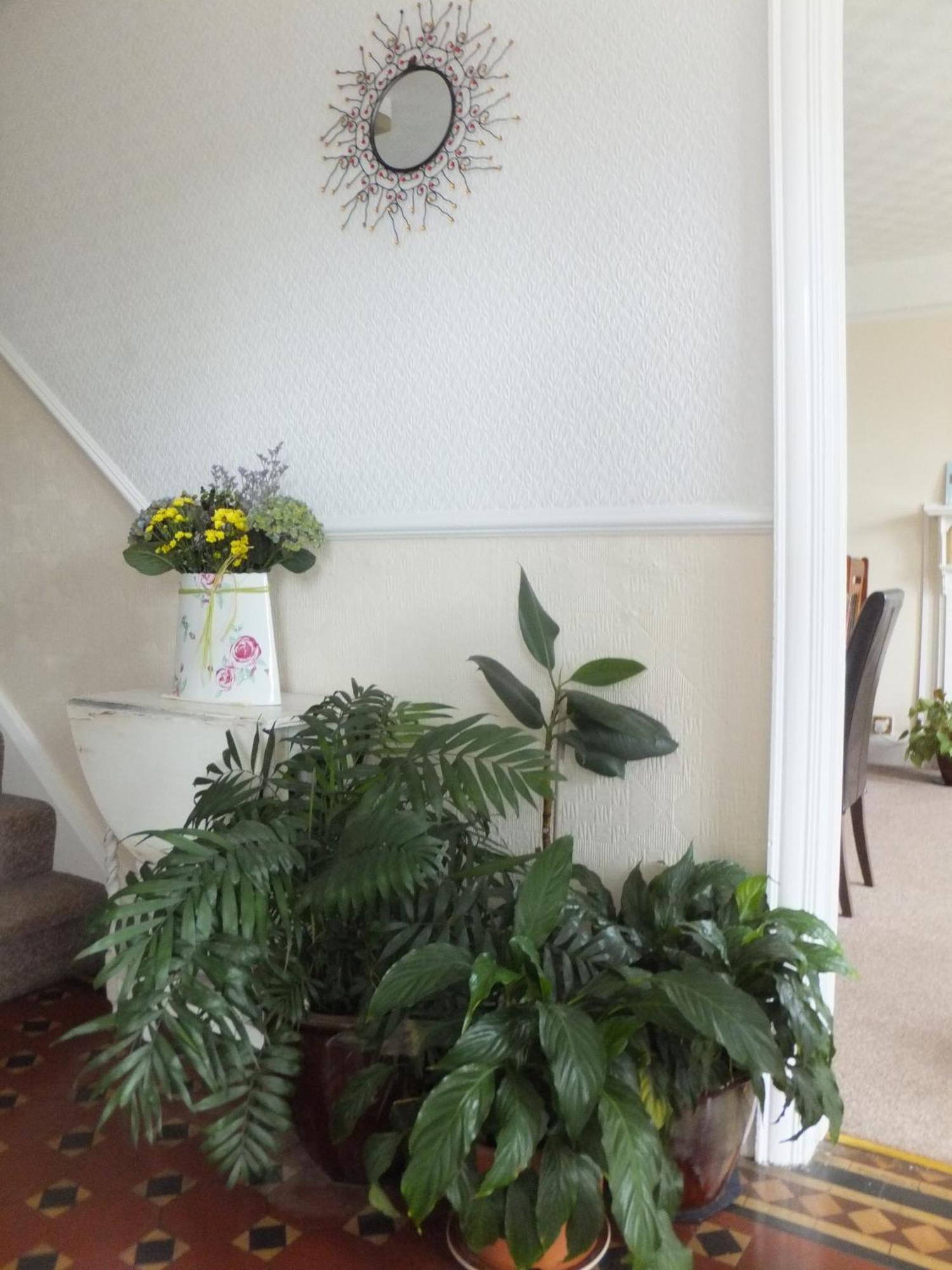 Sea Jade Guest House Б'юд Екстер'єр фото